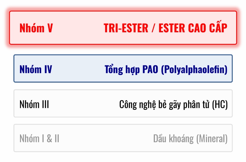 công nghệ Tri-Ester thuộc nhóm V